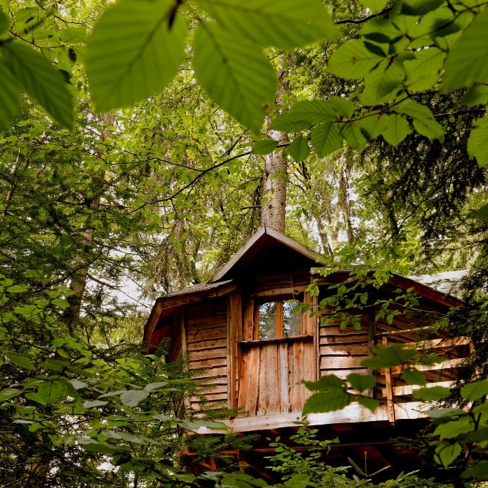 1 nuit en Cabane Perchée pour 2 avec petits-déjeuners + 2 entrées au parc + 2 bières locales + 2 sachets de bonbons