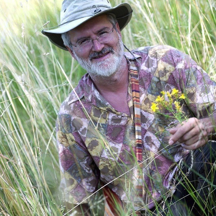 1 journée découverte des plantes sauvages comestibles 