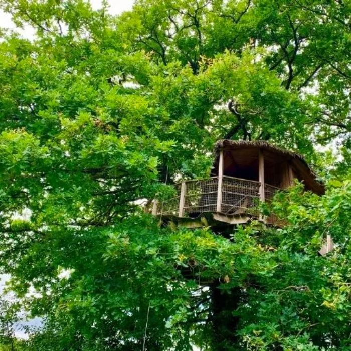 1 nuit en cabane Gisberg, Des Cartes ou New York pour 2 avec petits-déjeuners