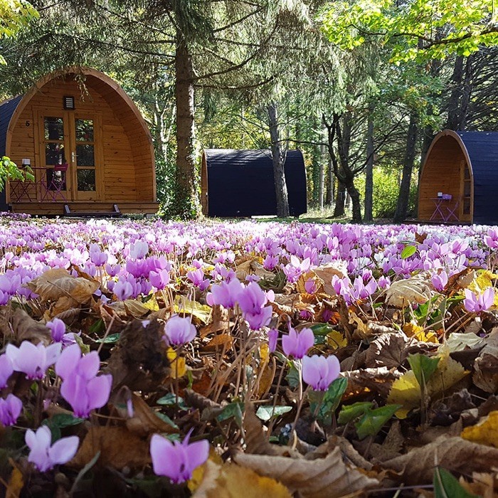 1 nuit en cabane Pod pour 2 personnes