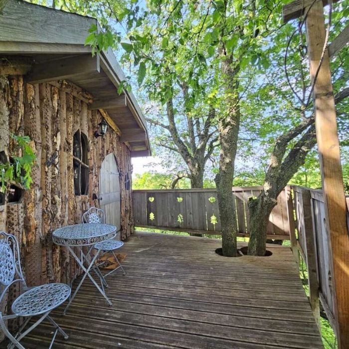 1 nuit pour 2 en cabane de l'Ourson blanc ou Cabane dans les arbres avec petits-déjeuners + planche apéritive ou message d'amour suspendu + spa en duo de 30 min