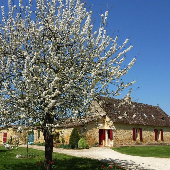 1 nuit en chambre d'hôtes pour 4 personnes ( 2 adultes et 2 enfants) avec petits-déjeuners + verres de bienvenue 