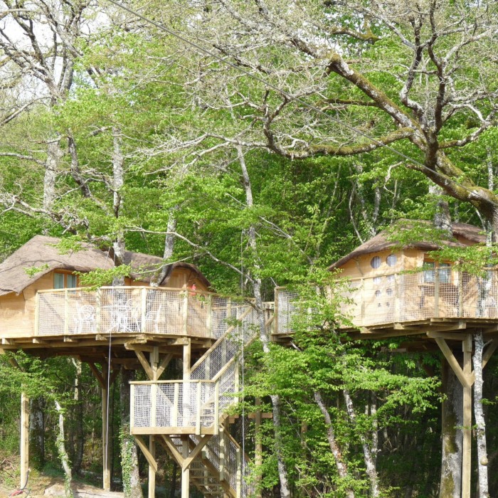 1 nuit dans une cabane dans les arbres pour 4 personnes (2 enfants / 2 adultes) SANS petits déjeuners + 1 bouteille de jus de pomme 75cl accompagné d'un broyé du Poitou