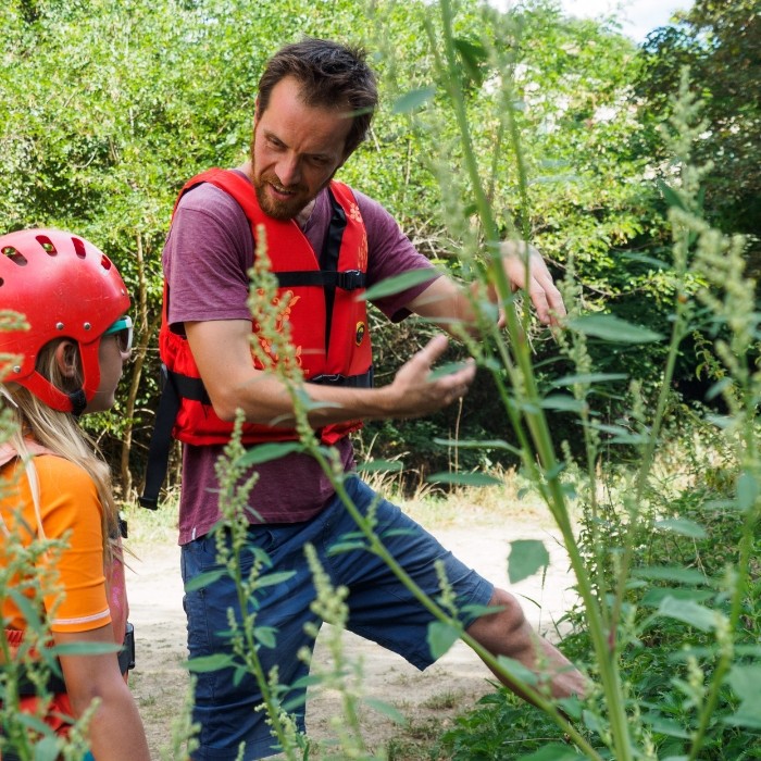 1 journée de découverte des plantes sauvages pour 1 personne + dégustation des plantes 
