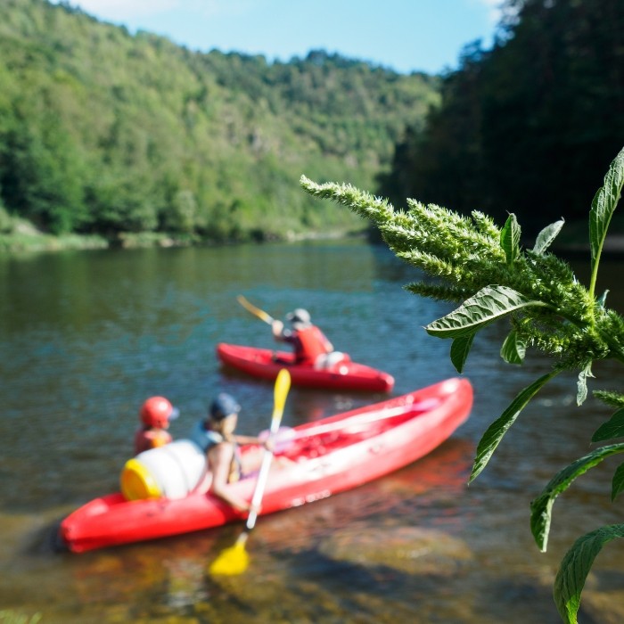 1/2 journée de descente de la jeune Loire en canoë + découverte des plantes sauvages avec dégustation pour 1 personne 