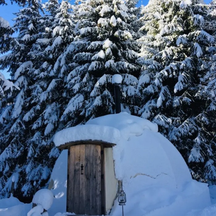 1 nuit en Lodge pour 2 personnes avec petits-déjeuners + 1 dîner pour 2 personnes