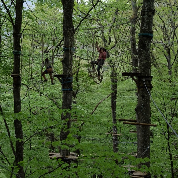  1 Pack Forêt pour 3 personnes