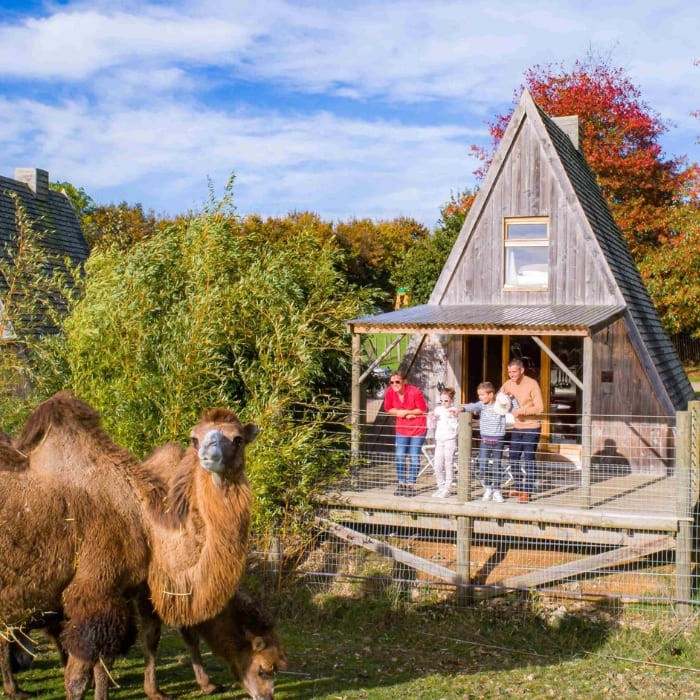 1 nuit en Zoobservatoire pour 2 personnes avec petits-déjeuners, jus de pomme bio et une confiture au choix (figue ou pomme caramel)