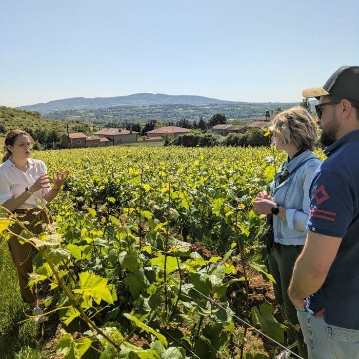 1 dégustation Sols et Vins pour 1 personne pendant 2h 