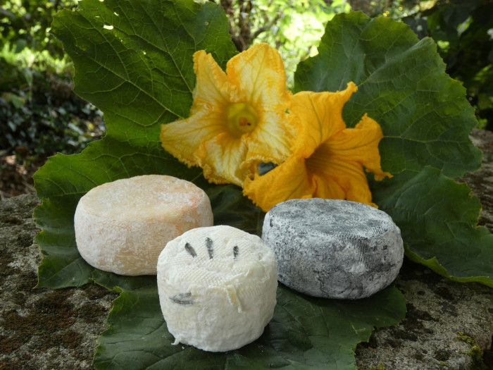 Atelier Fromagerie et crèmerie/Elevage à Riaucourt – 3h - À manger