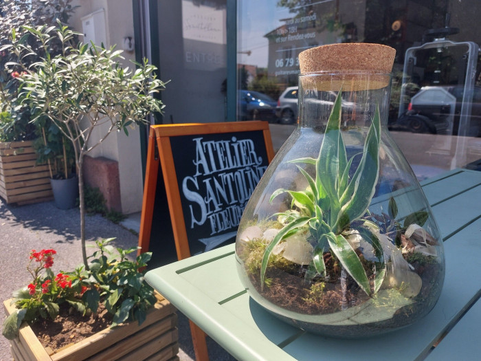 Atelier Composition de terrarium à Bayonne – 1h - Végétal
