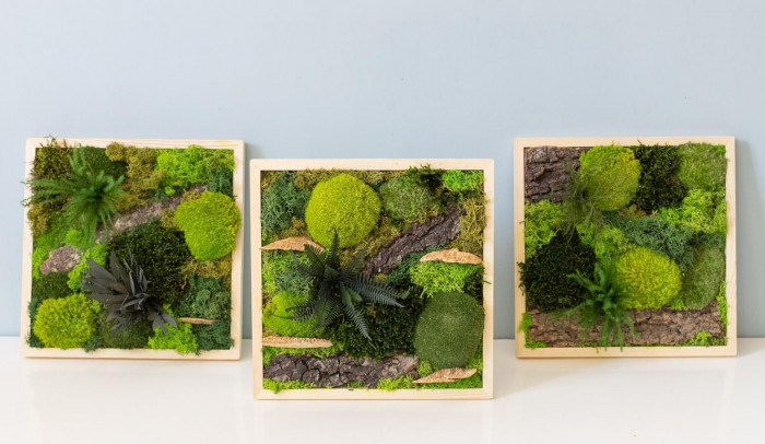 Atelier Composition fleurs/plantes fraîches à Paris – 1h - Végétal
