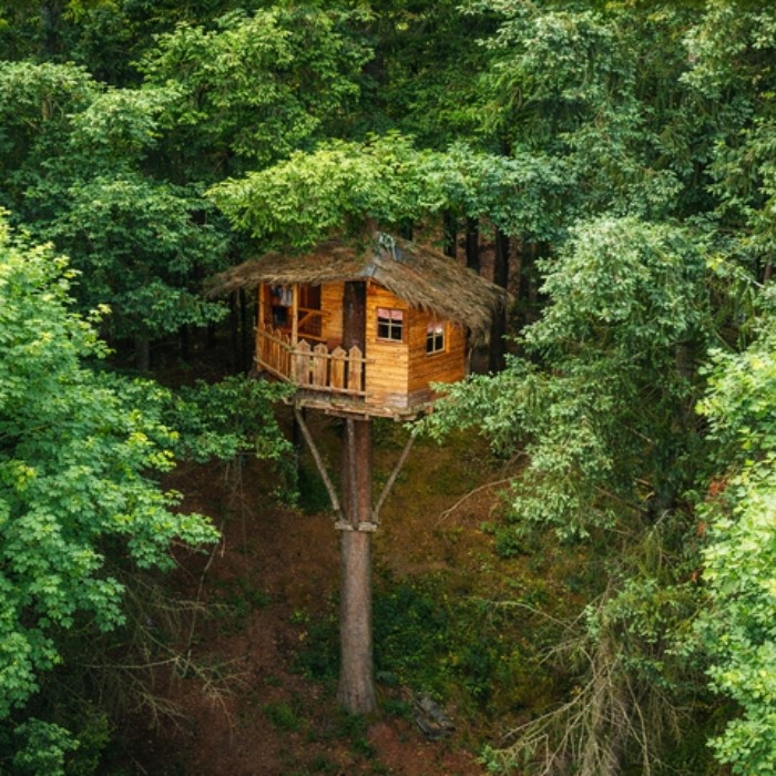 1 nuit pour 2 personnes dans une cabane simple avec petits déjeuners + 1 bouteille "Le Clair de Lune" + 30 min de bain nordique
