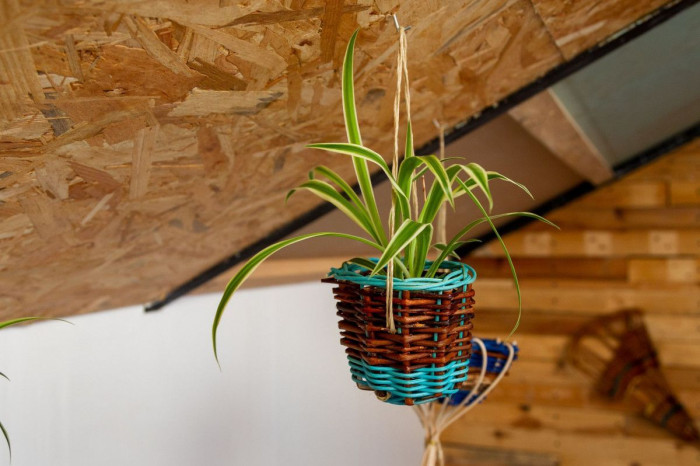 Atelier Vannerie à Lille – 3h - Bois
