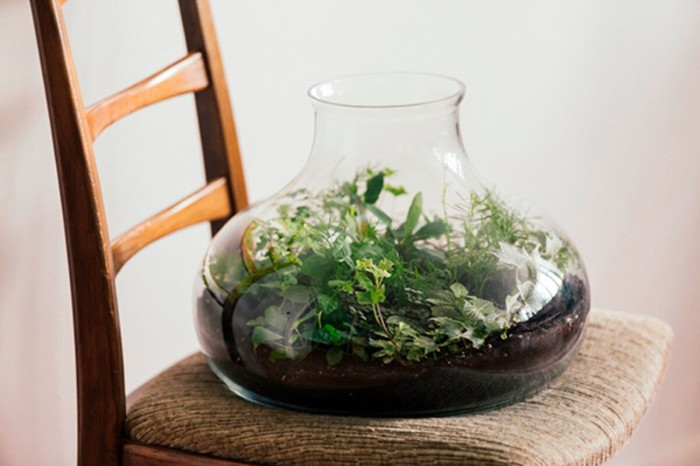 Atelier Composition de terrarium à Paris – 1h - Végétal