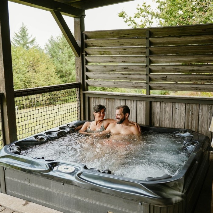 1 nuit pour 2 personnes avec pdj inclus en Lodge + Séjour Bien-être ( 2 massages de 45min + accès au sauna ) 
