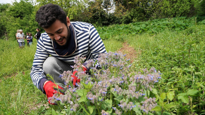 Atelier Cuisine/Cueillette botanique/Cuisine végétale à Reventin-Vaugris – 6h - À manger