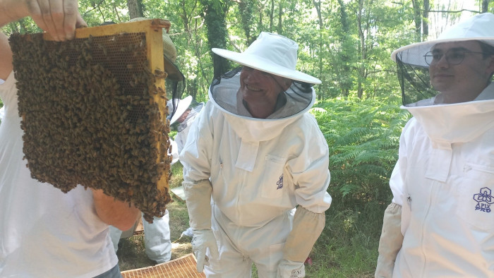 Atelier Apiculture à Vivy – 3h - Agriculture
