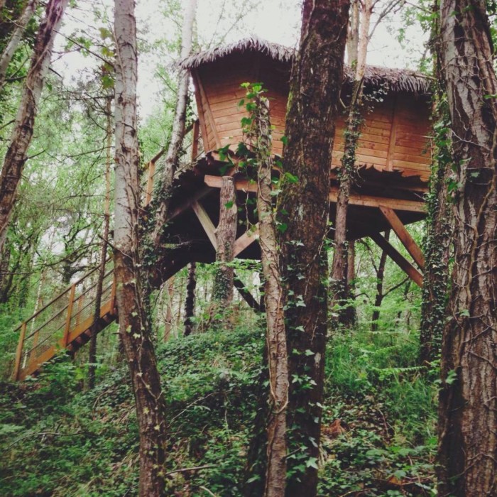  1 nuit en cabane perchée pour 2 avec petits-déjeuners