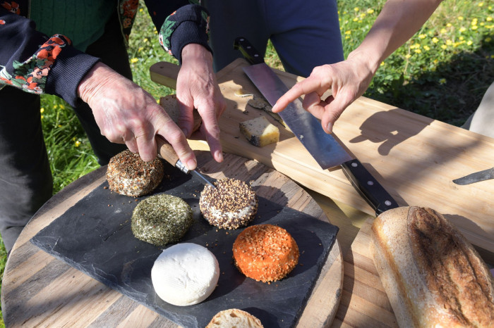 Atelier Fromagerie et crèmerie à Isigny-le-Buat – 3h - Agriculture