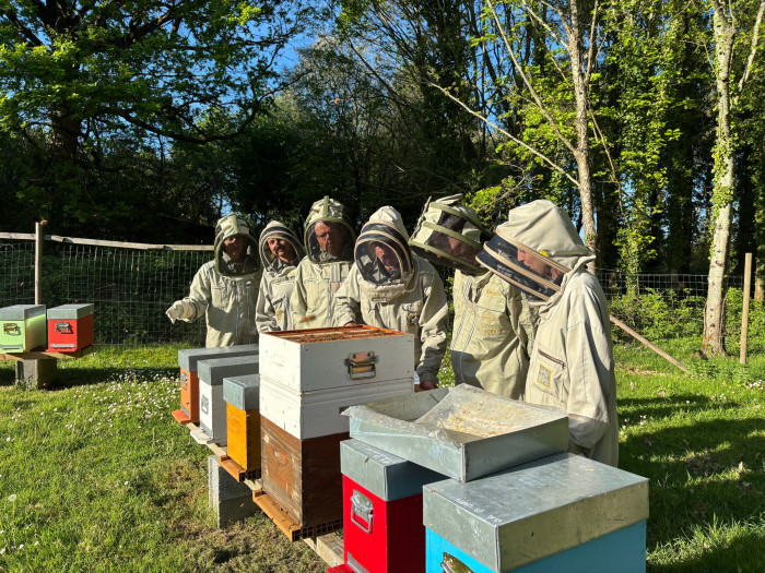 Atelier Apiculture à Héric – 3h - Agriculture