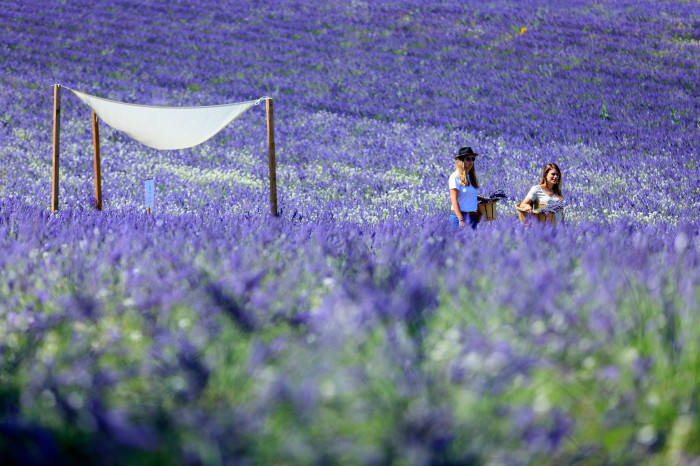 Atelier Maraîchage/Floriculture à Aix-en-Provence – 2h - À manger