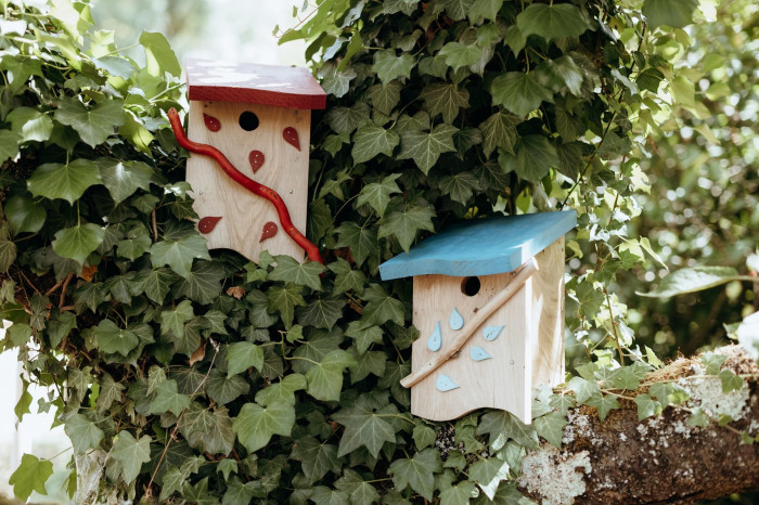 Atelier Menuiserie et Ebenisterie à Valdivienne – 3h - Bois