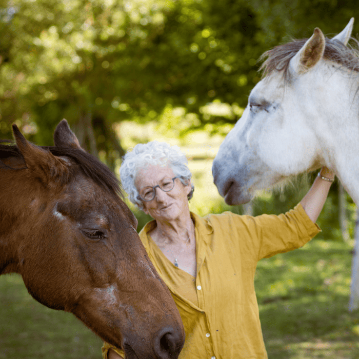 Atelier découverte (1h30 environ) avec les Chevaux du Vent pour 2 personnes