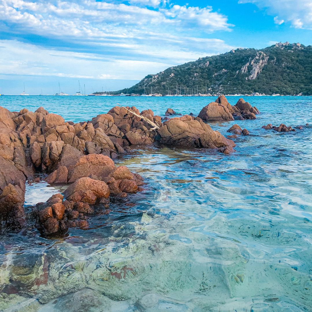 Île Corse