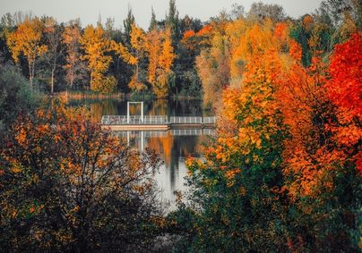 Paysage d'automne