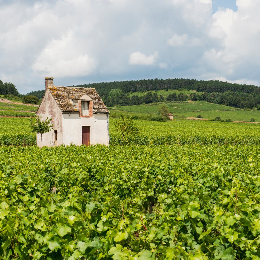 Beaune