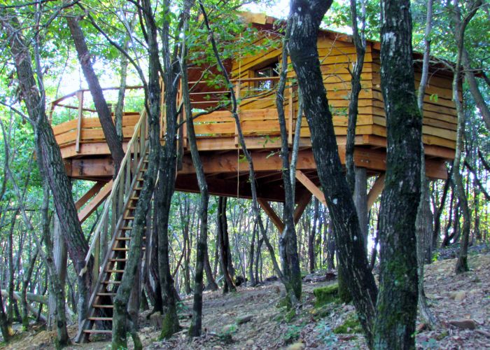 Cabanes perchées Naturabox