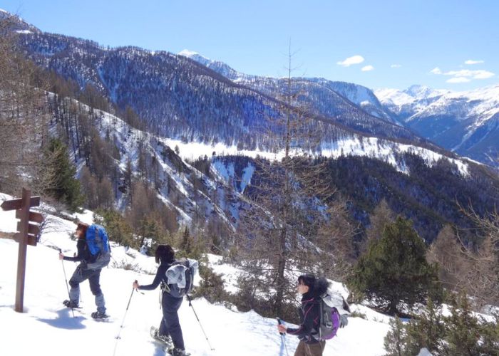 Séjour multigénérationnel