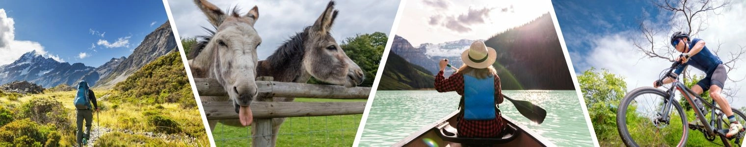 type_activity Loisirs 