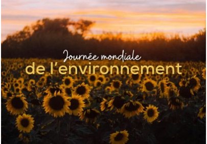 Journée mondiale de l’environnement