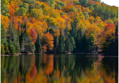 Écotourisme en automne : comment voyager autrement pendant les vacances de la Toussaint ?