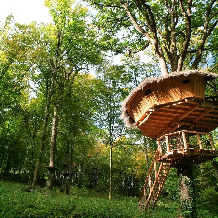 L'arbre à cabanes