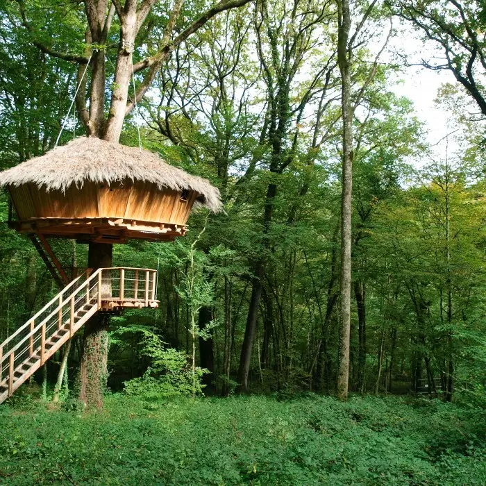 L'arbre à cabanes