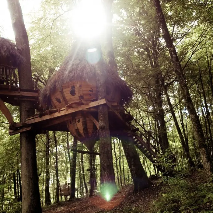 L'arbre à cabanes