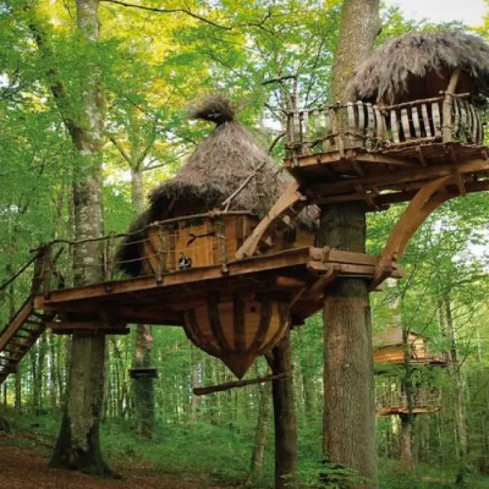 L'arbre à cabanes