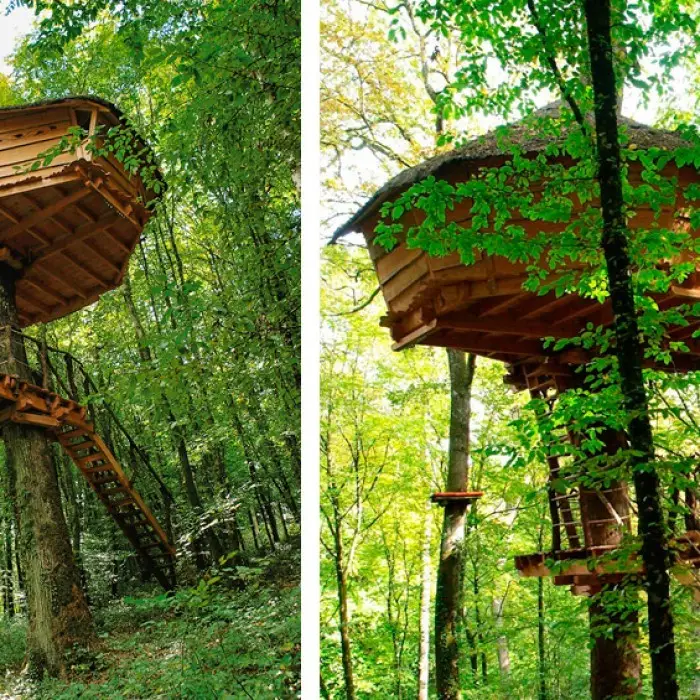 L'arbre à cabanes