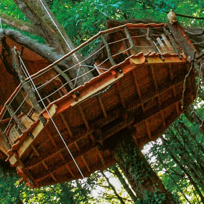 L'arbre à cabanes