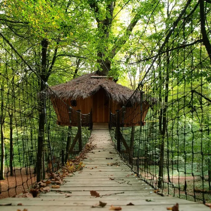 L'arbre à cabanes