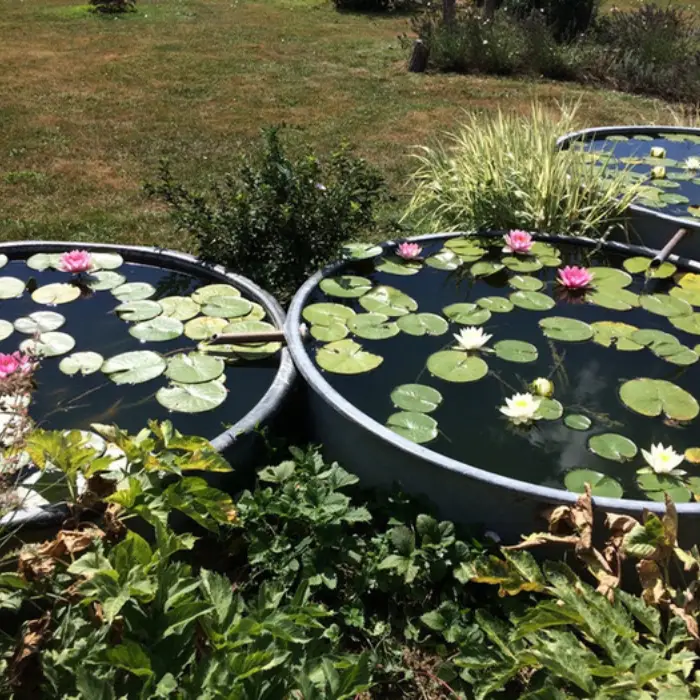 Les Jardins des Soussilanges