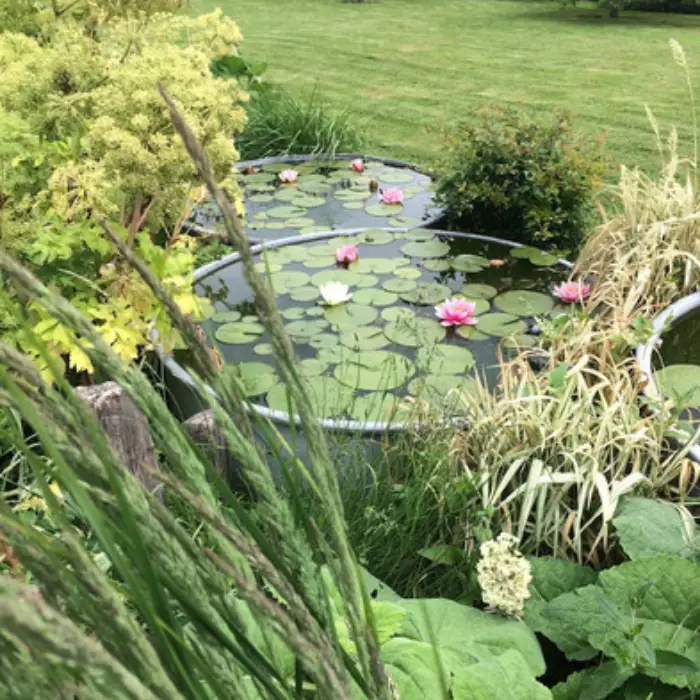 Les Jardins des Soussilanges