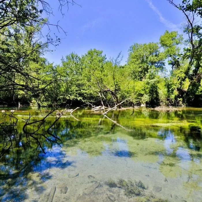 Camping la Sorguette***