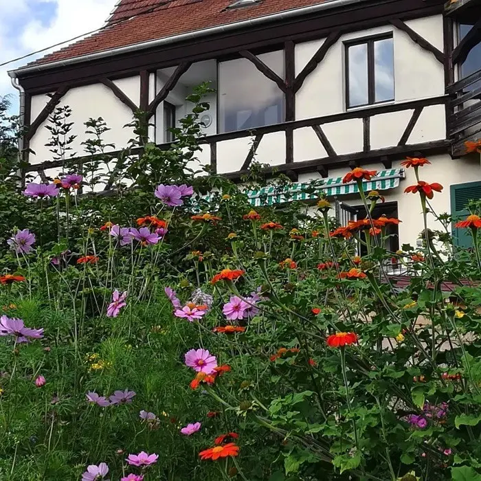 Hôtel Restaurant Alsace Village