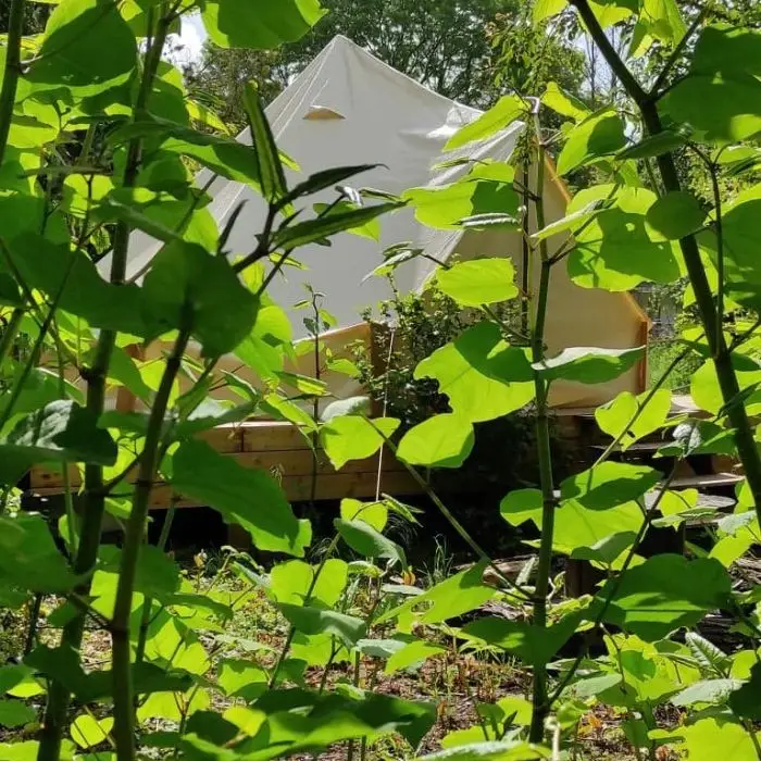 Espace Nature au Creux du Chêne