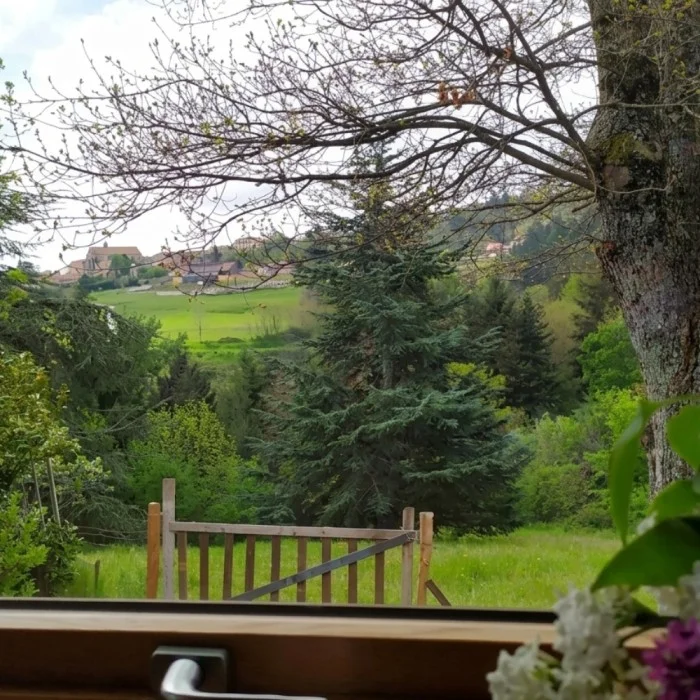 La tiny house de la côte Roannaise