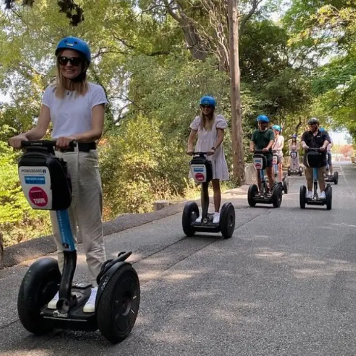 Mobilboard Nice